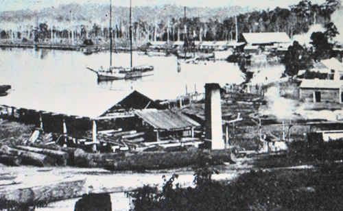 The Bellinger River as you’ve never seen it – in its early days as a timber and shipping centre. The Bellinger River as you’ve never seen it – in its early days as a timber and shipping centre.